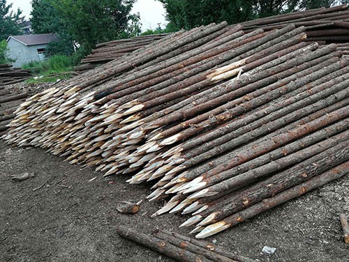 ɼľ��